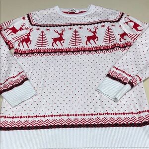 Cozy Holiday Reindeer Sweater